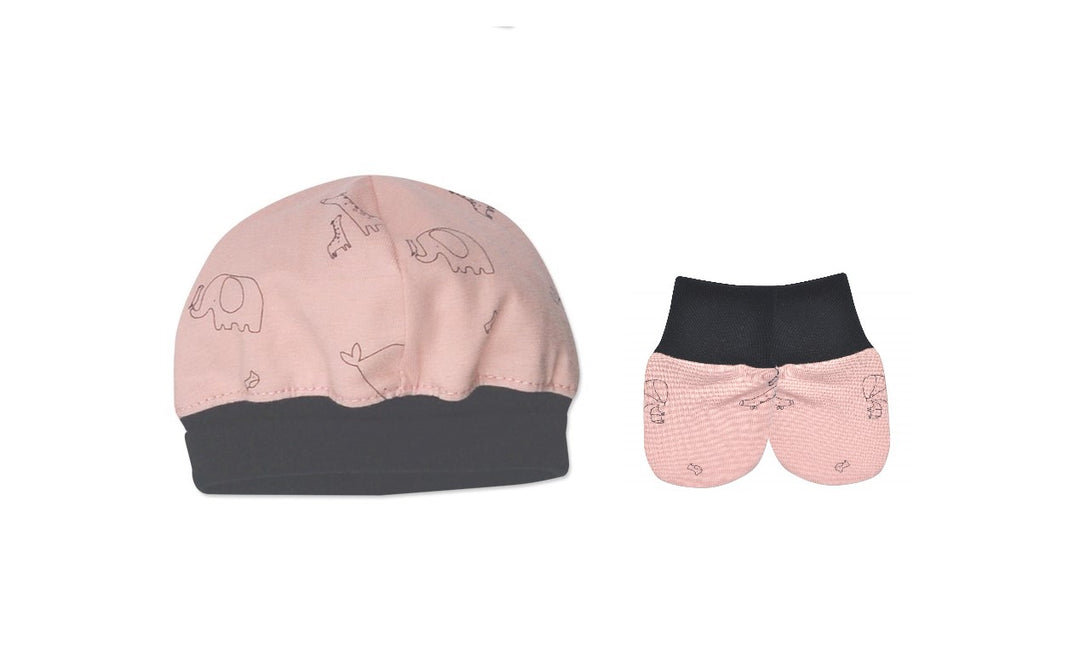 Little One Pink Hat & Mitten Set